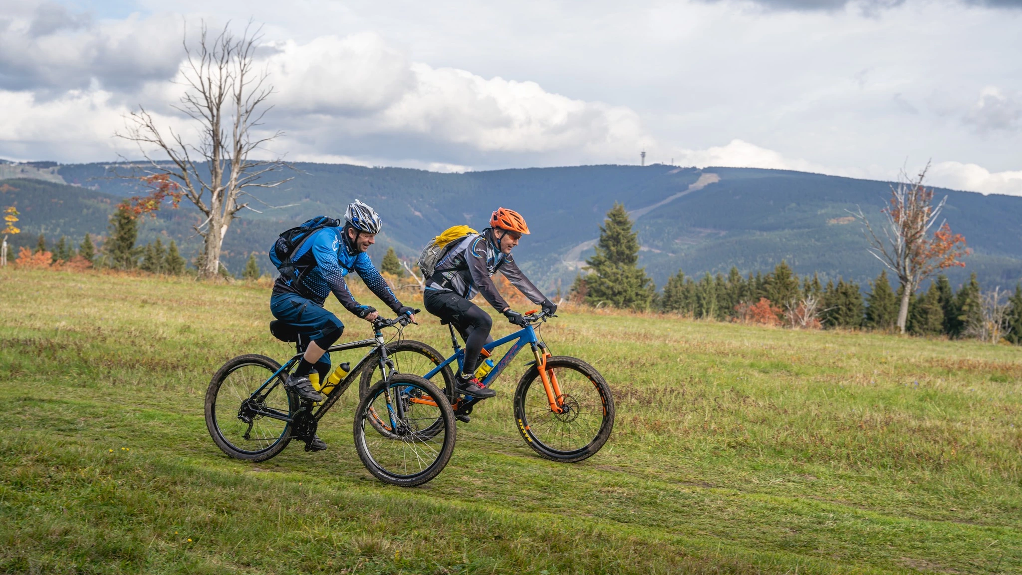 Negozio al dettaglio Attrezzo -Negozio al dettaglio Attrezzo 314665088 6137871139571084 1349491386901281054 n